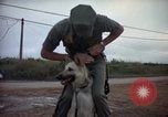 Standbild sentry Hunde Tan Son Nhut Air Force Base Vietnam, 1965, aus Sekunde 8 historischem Filmmaterial Videoclip 65675028510
