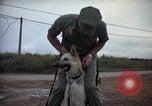 Standbild sentry Hunde Tan Son Nhut Air Force Base Vietnam, 1965, aus Sekunde 9 historischem Filmmaterial Videoclip 65675028510