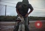 Standbild sentry Hunde Tan Son Nhut Air Force Base Vietnam, 1965, aus Sekunde 10 historischem Filmmaterial Videoclip 65675028510