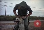 Standbild sentry Hunde Tan Son Nhut Air Force Base Vietnam, 1965, aus Sekunde 11 historischem Filmmaterial Videoclip 65675028510