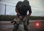 Standbild sentry Hunde Tan Son Nhut Air Force Base Vietnam, 1965, aus Sekunde 13 historischem Filmmaterial Videoclip 65675028510
