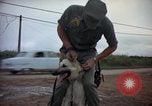Standbild sentry Hunde Tan Son Nhut Air Force Base Vietnam, 1965, aus Sekunde 14 historischem Filmmaterial Videoclip 65675028510