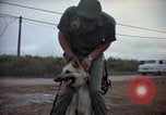 Standbild sentry Hunde Tan Son Nhut Air Force Base Vietnam, 1965, aus Sekunde 15 historischem Filmmaterial Videoclip 65675028510