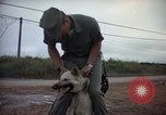 Standbild sentry Hunde Tan Son Nhut Air Force Base Vietnam, 1965, aus Sekunde 16 historischem Filmmaterial Videoclip 65675028510