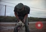 Standbild sentry Hunde Tan Son Nhut Air Force Base Vietnam, 1965, aus Sekunde 17 historischem Filmmaterial Videoclip 65675028510