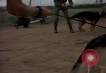 Standbild sentry Hunde Tan Son Nhut Air Force Base Vietnam, 1965, aus Sekunde 19 historischem Filmmaterial Videoclip 65675028510