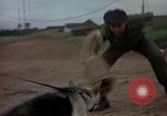 Standbild sentry Hunde Tan Son Nhut Air Force Base Vietnam, 1965, aus Sekunde 22 historischem Filmmaterial Videoclip 65675028510
