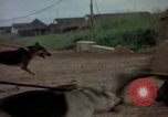 Standbild sentry Hunde Tan Son Nhut Air Force Base Vietnam, 1965, aus Sekunde 23 historischem Filmmaterial Videoclip 65675028510