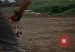 Standbild sentry Hunde Tan Son Nhut Air Force Base Vietnam, 1965, aus Sekunde 26 historischem Filmmaterial Videoclip 65675028510
