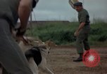 Standbild sentry Hunde Tan Son Nhut Air Force Base Vietnam, 1965, aus Sekunde 28 historischem Filmmaterial Videoclip 65675028510
