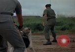 Standbild sentry Hunde Tan Son Nhut Air Force Base Vietnam, 1965, aus Sekunde 29 historischem Filmmaterial Videoclip 65675028510
