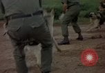 Standbild sentry Hunde Tan Son Nhut Air Force Base Vietnam, 1965, aus Sekunde 30 historischem Filmmaterial Videoclip 65675028510