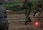 Standbild sentry Hunde Tan Son Nhut Air Force Base Vietnam, 1965, aus Sekunde 31 historischem Filmmaterial Videoclip 65675028510