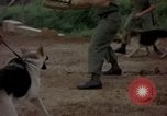 Standbild sentry Hunde Tan Son Nhut Air Force Base Vietnam, 1965, aus Sekunde 32 historischem Filmmaterial Videoclip 65675028510