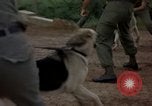 Standbild sentry Hunde Tan Son Nhut Air Force Base Vietnam, 1965, aus Sekunde 33 historischem Filmmaterial Videoclip 65675028510