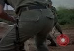 Standbild sentry Hunde Tan Son Nhut Air Force Base Vietnam, 1965, aus Sekunde 34 historischem Filmmaterial Videoclip 65675028510