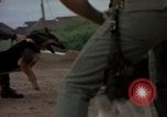 Standbild sentry Hunde Tan Son Nhut Air Force Base Vietnam, 1965, aus Sekunde 35 historischem Filmmaterial Videoclip 65675028510