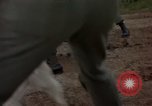 Standbild sentry Hunde Tan Son Nhut Air Force Base Vietnam, 1965, aus Sekunde 36 historischem Filmmaterial Videoclip 65675028510
