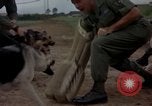 Standbild sentry Hunde Tan Son Nhut Air Force Base Vietnam, 1965, aus Sekunde 39 historischem Filmmaterial Videoclip 65675028510