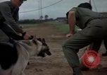 Standbild sentry Hunde Tan Son Nhut Air Force Base Vietnam, 1965, aus Sekunde 40 historischem Filmmaterial Videoclip 65675028510