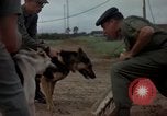 Standbild sentry Hunde Tan Son Nhut Air Force Base Vietnam, 1965, aus Sekunde 41 historischem Filmmaterial Videoclip 65675028510