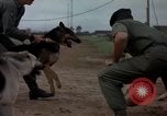 Standbild sentry Hunde Tan Son Nhut Air Force Base Vietnam, 1965, aus Sekunde 43 historischem Filmmaterial Videoclip 65675028510