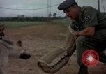 Standbild sentry Hunde Tan Son Nhut Air Force Base Vietnam, 1965, aus Sekunde 44 historischem Filmmaterial Videoclip 65675028510