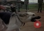 Standbild sentry Hunde Tan Son Nhut Air Force Base Vietnam, 1965, aus Sekunde 51 historischem Filmmaterial Videoclip 65675028510