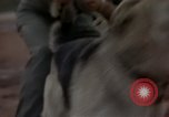 Standbild sentry Hunde Tan Son Nhut Air Force Base Vietnam, 1965, aus Sekunde 56 historischem Filmmaterial Videoclip 65675028510
