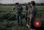 Image of sentry dogs Tan Son Nhut Air Force Base Vietnam, 1965, second 1 stock footage video 65675028511