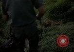 Image of sentry dogs Tan Son Nhut Air Force Base Vietnam, 1965, second 18 stock footage video 65675028511