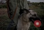 Image of sentry dogs Tan Son Nhut Air Force Base Vietnam, 1965, second 22 stock footage video 65675028511
