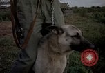 Image of sentry dogs Tan Son Nhut Air Force Base Vietnam, 1965, second 23 stock footage video 65675028511