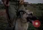 Image of sentry dogs Tan Son Nhut Air Force Base Vietnam, 1965, second 24 stock footage video 65675028511