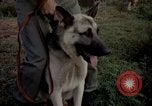 Image of sentry dogs Tan Son Nhut Air Force Base Vietnam, 1965, second 52 stock footage video 65675028511
