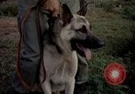 Image of sentry dogs Tan Son Nhut Air Force Base Vietnam, 1965, second 53 stock footage video 65675028511
