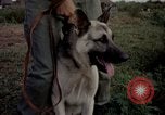 Image of sentry dogs Tan Son Nhut Air Force Base Vietnam, 1965, second 54 stock footage video 65675028511