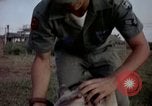 Image of sentry dogs Tan Son Nhut Air Force Base Vietnam, 1965, second 59 stock footage video 65675028511