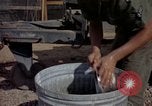 Image of sentry dogs Tan Son Nhut Air Force Base Vietnam, 1965, second 41 stock footage video 65675028512