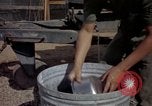 Image of sentry dogs Tan Son Nhut Air Force Base Vietnam, 1965, second 45 stock footage video 65675028512