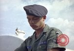 Image of sentry dogs Tan Son Nhut Air Force Base Vietnam, 1965, second 50 stock footage video 65675028512