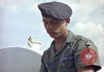 Image of sentry dogs Tan Son Nhut Air Force Base Vietnam, 1965, second 51 stock footage video 65675028512