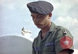 Image of sentry dogs Tan Son Nhut Air Force Base Vietnam, 1965, second 52 stock footage video 65675028512