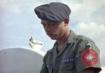 Image of sentry dogs Tan Son Nhut Air Force Base Vietnam, 1965, second 53 stock footage video 65675028512