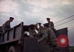 Image of sentry dogs Tan Son Nhut Air Force Base Vietnam, 1965, second 11 stock footage video 65675028513
