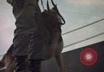 Image of sentry dogs Tan Son Nhut Air Force Base Vietnam, 1965, second 36 stock footage video 65675028513