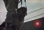 Image of sentry dogs Tan Son Nhut Air Force Base Vietnam, 1965, second 37 stock footage video 65675028513