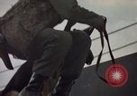 Image of sentry dogs Tan Son Nhut Air Force Base Vietnam, 1965, second 38 stock footage video 65675028513