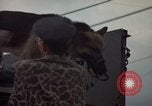 Image of sentry dogs Tan Son Nhut Air Force Base Vietnam, 1965, second 41 stock footage video 65675028513