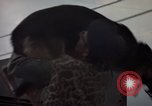 Image of sentry dogs Tan Son Nhut Air Force Base Vietnam, 1965, second 44 stock footage video 65675028513